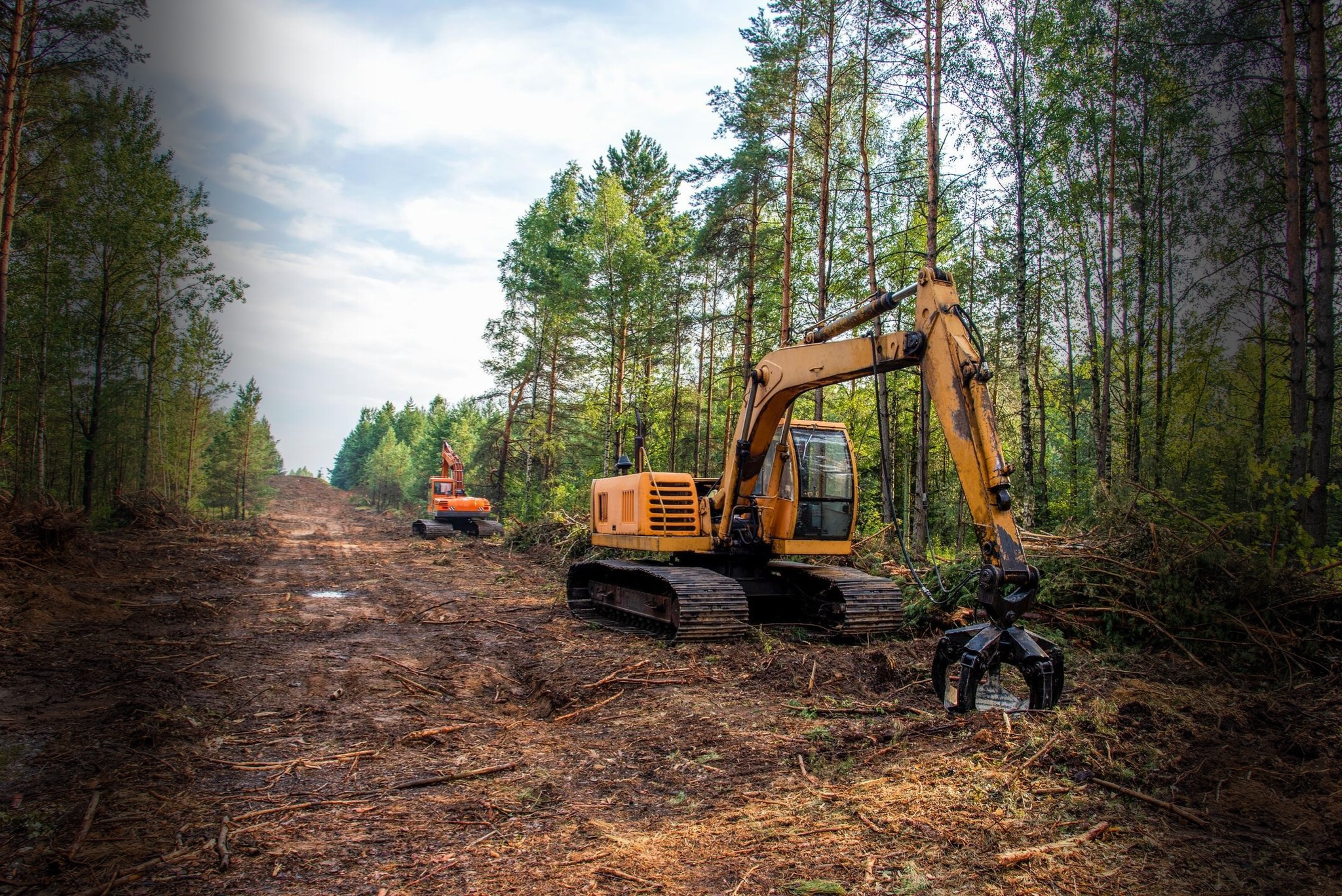 hero land clearing image